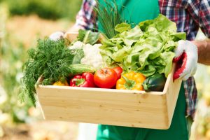 Nutritionist Cluj - Luisa Florea - Motive pentru care legumele sunt atat de necesare corpului nostru